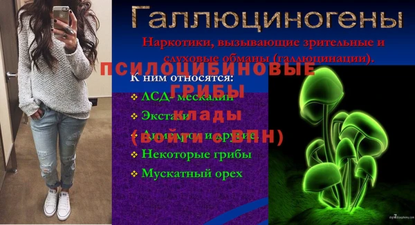 ПСИЛОЦИБИНОВЫЕ ГРИБЫ Белокуриха